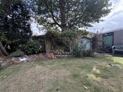 Picture 24